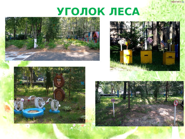 УГОЛОК ЛЕСА 