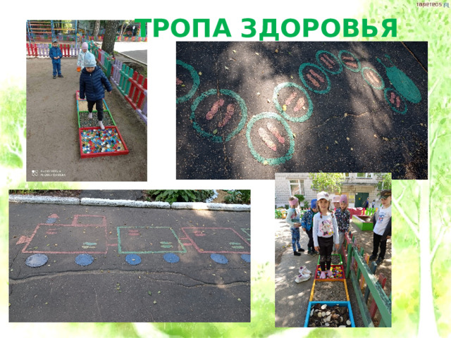 ТРОПА ЗДОРОВЬЯ 