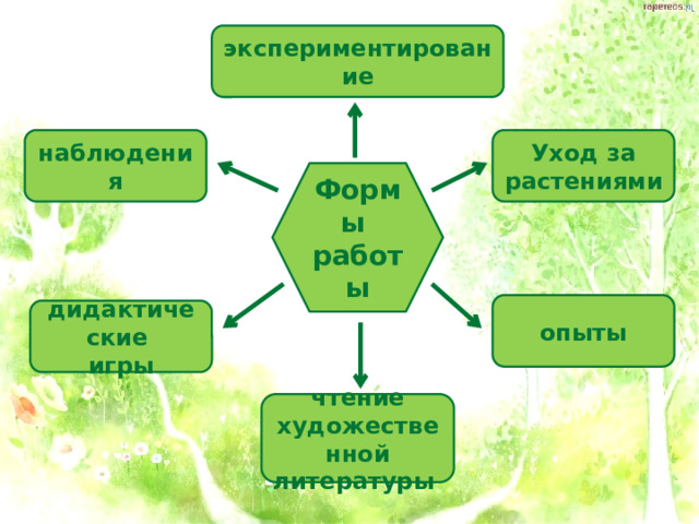 экспериментирование наблюдения Уход за растениями Формы работы опыты дидактические игры чтение художественной литературы 