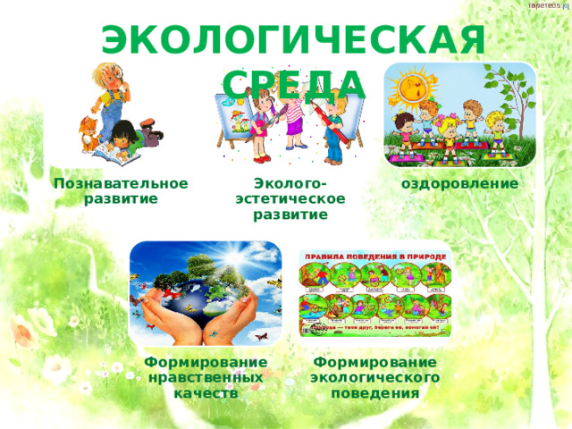 ЭКОЛОГИЧЕСКАЯ СРЕДА Познавательное развитие Эколого-эстетическое развитие оздоровление Формирование нравственных качеств Формирование экологического поведения 