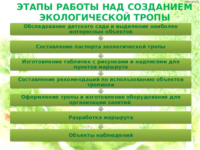 ЭТАПЫ РАБОТЫ НАД СОЗДАНИЕМ ЭКОЛОГИЧЕСКОЙ ТРОПЫ Обследование детского сада и выделение наиболее интересных объектов Составление паспорта экологической тропы Изготовление табличек с рисунками и надписями для пунктов маршрута Составление рекомендаций по использованию объектов тропинки Оформление тропы и изготовление оборудования для организации занятий Разработка маршрута Объекты наблюдений 