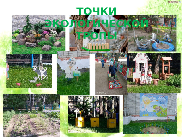 ТОЧКИ ЭКОЛОГИЧЕСКОЙ ТРОПЫ 
