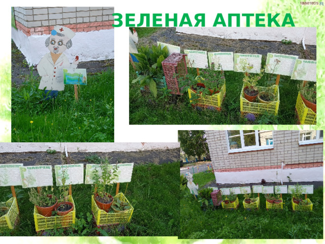 ЗЕЛЕНАЯ АПТЕКА 