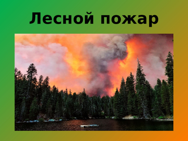 Лесной пожар 