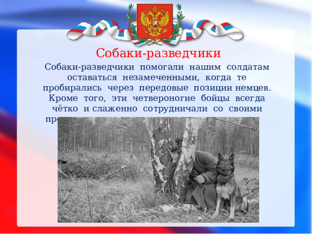 Собаки-разведчики Собаки-разведчики помогали нашим солдатам оставаться незамеченными, когда те пробирались через передовые позиции немцев. Кроме того, эти четвероногие бойцы всегда чётко и слаженно сотрудничали со своими проводниками в момент захвата «языка». 
