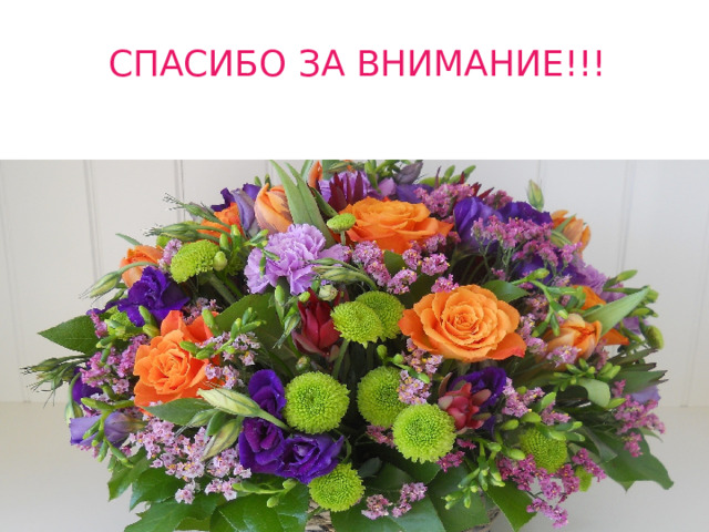 СПАСИБО ЗА ВНИМАНИЕ!!! 