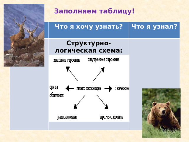 Заполняем таблицу! Что я знаю? Что я хочу узнать? Что я узнал? Структурно-логическая схема: 