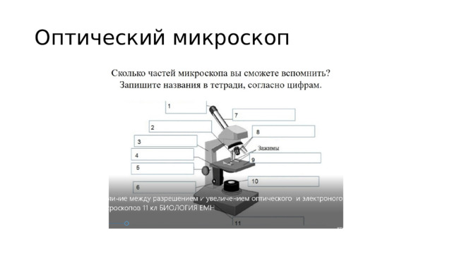 Оптический микроскоп 