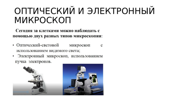 ОПТИЧЕСКИЙ И ЭЛЕКТРОННЫЙ МИКРОСКОП 