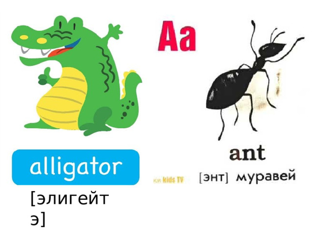 [элигейтэ] 