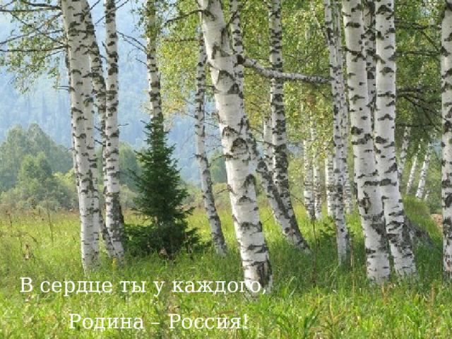 В сердце ты у каждого, Родина – Россия! 