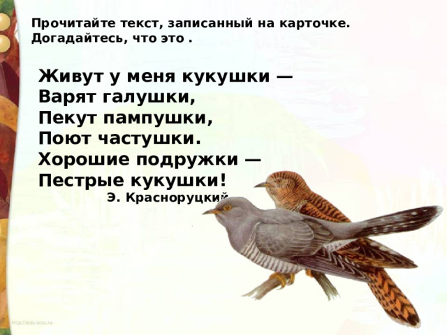 Прочитайте текст, записанный на карточке. Догадайтесь, что это .  Живут у меня кукушки — Варят галушки, Пекут пампушки, Поют частушки. Хорошие подружки — Пестрые кукушки!  Э. Красноруцкий 