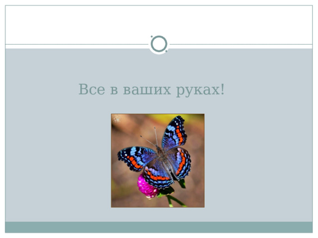 Все в ваших руках! 
