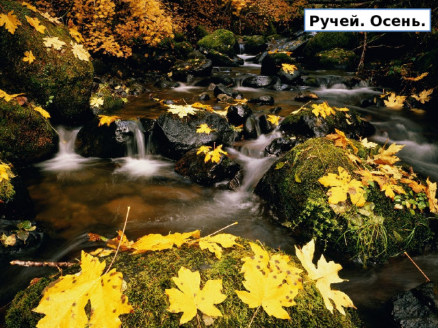 Ручей. Осень. 