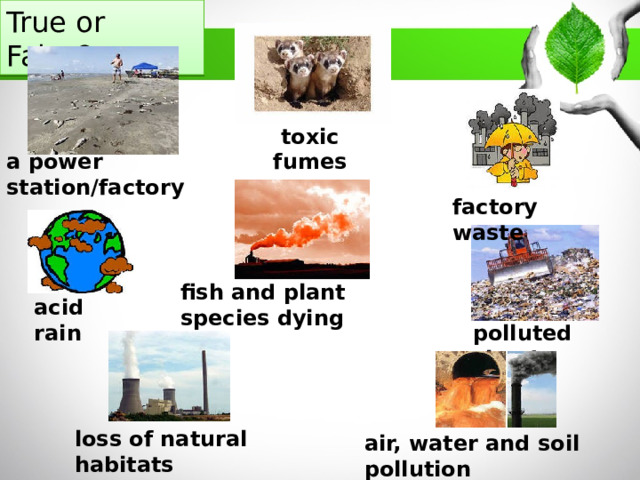 True or False? toxic fumes a power station/factory factory waste fish and plant species dying acid rain polluted clouds loss of natural habitats air, water and soil pollution 