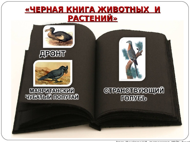 «ЧЕРНАЯ КНИГА ЖИВОТНЫХ И РАСТЕНИЙ» Автор: Михайлова Н.М.- преподаватель МАОУ «Лицей № 21» 