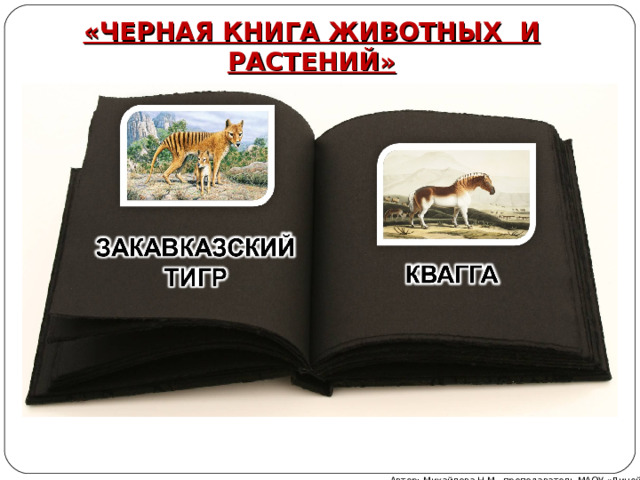 «ЧЕРНАЯ КНИГА ЖИВОТНЫХ И РАСТЕНИЙ» Автор: Михайлова Н.М.- преподаватель МАОУ «Лицей № 21» 