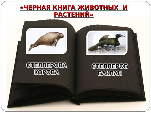 «ЧЕРНАЯ КНИГА ЖИВОТНЫХ И РАСТЕНИЙ» 