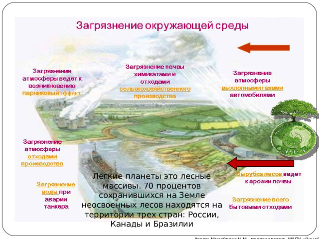 Легкие планеты это лесные массивы. 70 процентов сохранившихся на Земле неосвоенных лесов находятся на территории трех стран: России, Канады и Бразилии Автор: Михайлова Н.М.- преподаватель МАОУ «Лицей № 21» 