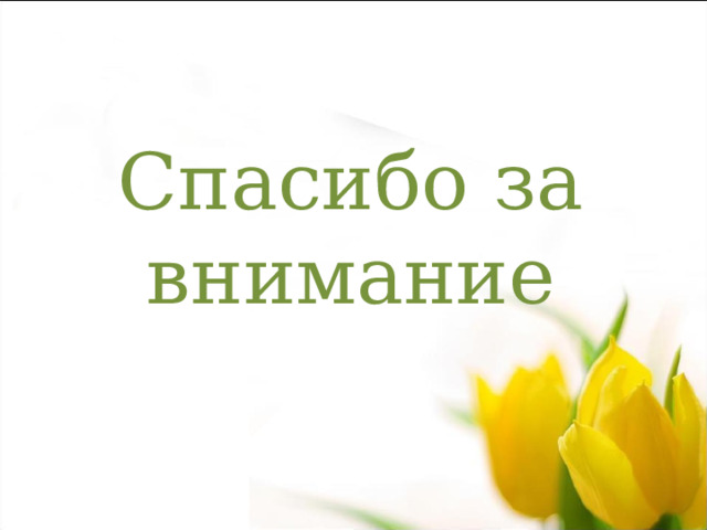 Спасибо за внимание 6 