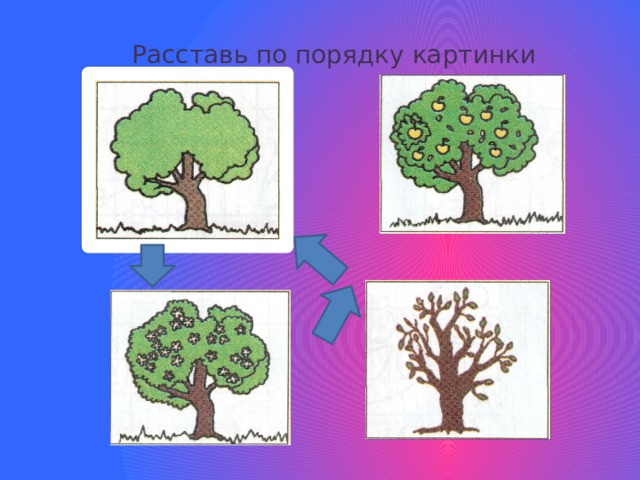 Расставь по порядку картинки 