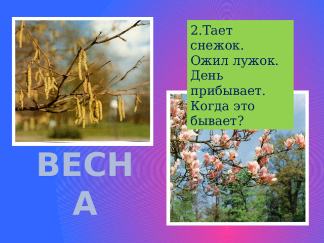 2.Тает снежок. Ожил лужок. День прибывает. Когда это бывает? ВЕСНА 