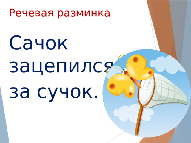 Речевая разминка Сачок зацепился за сучок. 