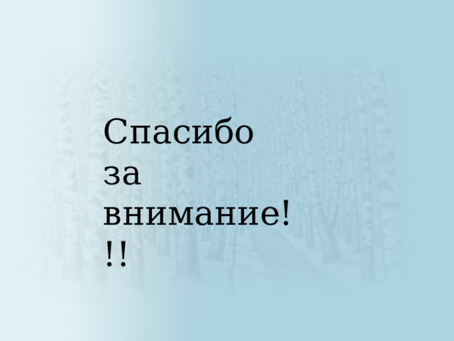 Спасибо за внимание!!! 
