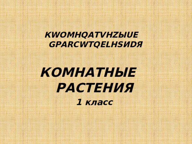 КWОМНQАТVНZЫUЕ GРАRСWТQЕLНSИDЯ   КОМНАТНЫЕ РАСТЕНИЯ 1 класс   