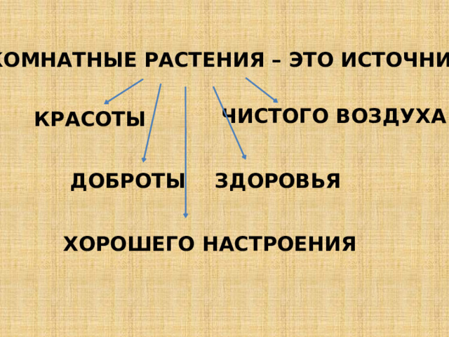 КОМНАТНЫЕ РАСТЕНИЯ – ЭТО ИСТОЧНИК  ЧИСТОГО ВОЗДУХА КРАСОТЫ ДОБРОТЫ ЗДОРОВЬЯ ХОРОШЕГО НАСТРОЕНИЯ 