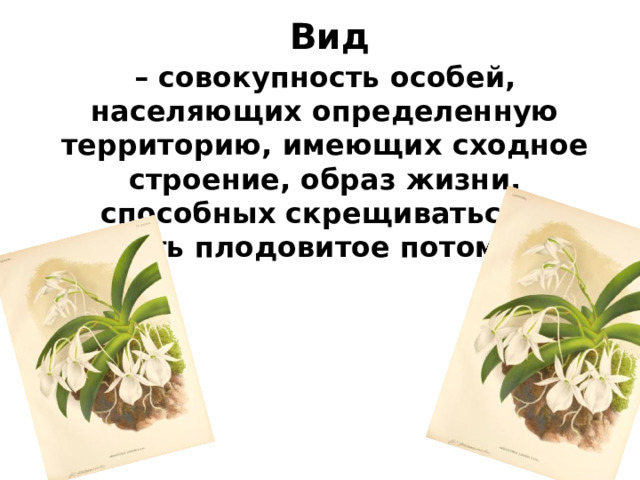 Вид  –  совокупность особей, населяющих определенную территорию, имеющих сходное строение, образ жизни, способных скрещиваться и давать плодовитое потомство .   