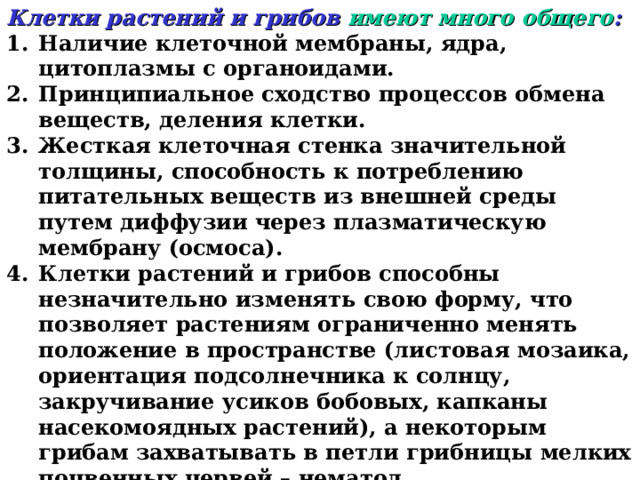Клетки растений и грибов имеют много общего : Наличие клеточной мембраны, ядра, цитоплазмы с органоидами. Принципиальное сходство процессов обмена веществ, деления клетки. Жесткая клеточная стенка значительной толщины, способность к потреблению питательных веществ из внешней среды путем диффузии через плазматическую мембрану (осмоса). Клетки растений и грибов способны незначительно изменять свою форму, что позволяет растениям ограниченно менять положение в пространстве (листовая мозаика, ориентация подсолнечника к солнцу, закручивание усиков бобовых, капканы насекомоядных растений), а некоторым грибам захватывать в петли грибницы мелких почвенных червей – нематод. Способность группы клеток давать начало новому организму (вегетативное размножение). 