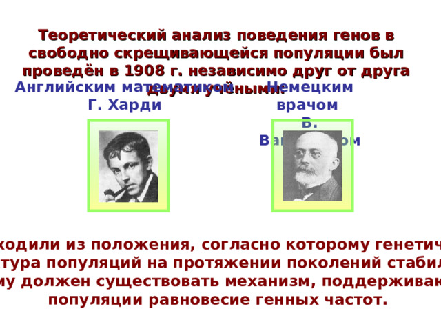 Теоретический анализ поведения генов в свободно скрещивающейся популяции был проведён в 1908 г. независимо друг от друга двумя учёными: Английским математиком Г. Харди Немецким врачом В. Вайнбергом Они исходили из положения, согласно которому генетическая структура популяций на протяжении поколений стабильна и поэтому должен существовать механизм, поддерживающий в популяции равновесие генных частот. 