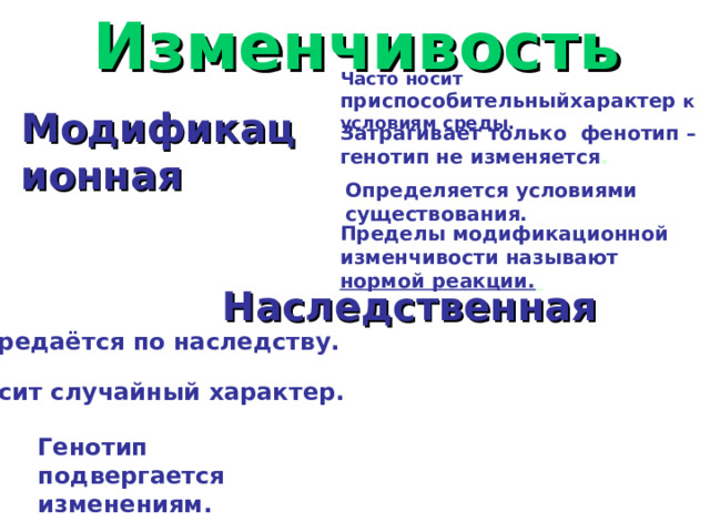 Изменчивость Часто носит приспособительныйхарактер к условиям среды. Модификационная Затрагивает только фенотип – генотип не изменяется . Определяется условиями существования. Пределы модификационной изменчивости называют нормой реакции.  Наследственная Передаётся по наследству. Носит случайный характер. Генотип подвергается изменениям. 