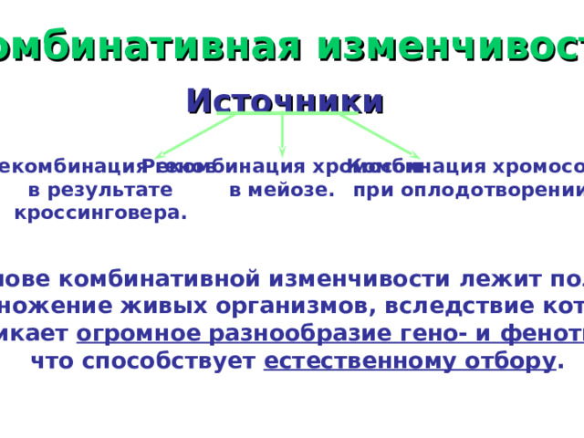 Комбинативная изменчивость. Источники Рекомбинация генов в результате кроссинговера. Рекомбинация хромосом в мейозе. Комбинация хромосом при оплодотворении. В основе комбинативной изменчивости лежит половое размножение живых организмов, вследствие которого возникает огромное разнообразие гено- и фенотипов,  что способствует естественному отбору . 