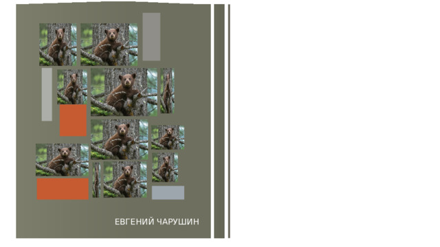 ЕВГЕНИЙ ЧАРУШИН 