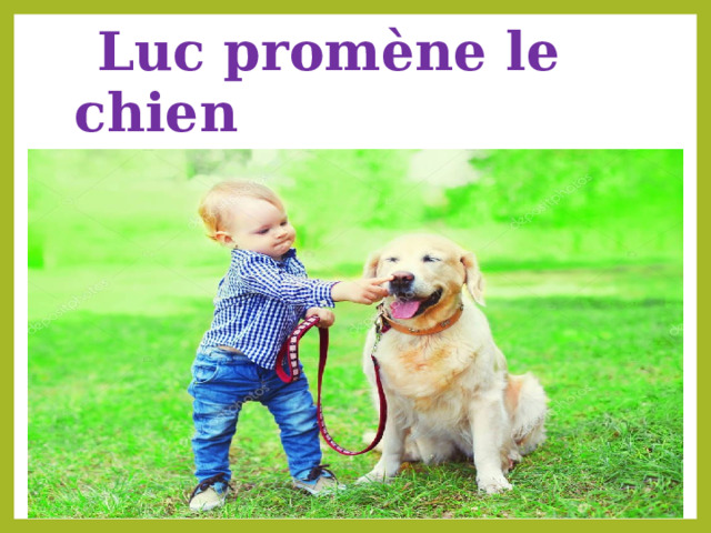  Luc promène le chien 