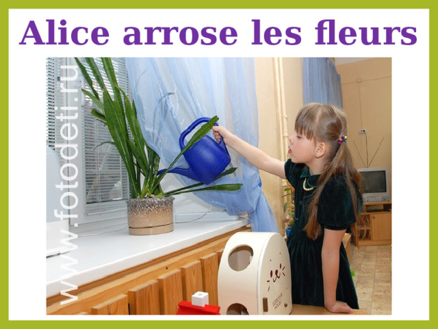 Alice arrose les fleurs 