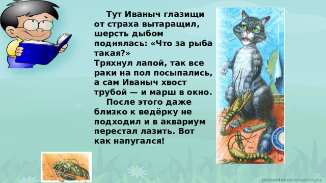  Тут Иваныч глазищи от страха вытаращил, шерсть дыбом поднялась: «Что за рыба такая?» Тряхнул лапой, так все раки на пол посыпались, а сам Иваныч хвост трубой — и марш в окно.  После этого даже близко к ведёрку не подходил и в аквариум перестал лазить. Вот как напугался! 