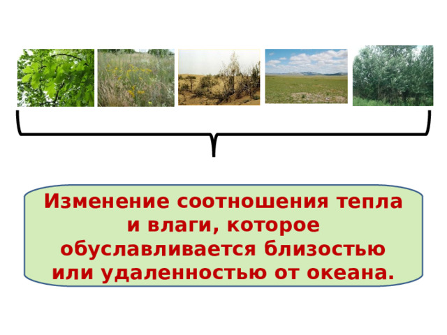 Изменение соотношения тепла и влаги, которое обуславливается близостью или удаленностью от океана. 