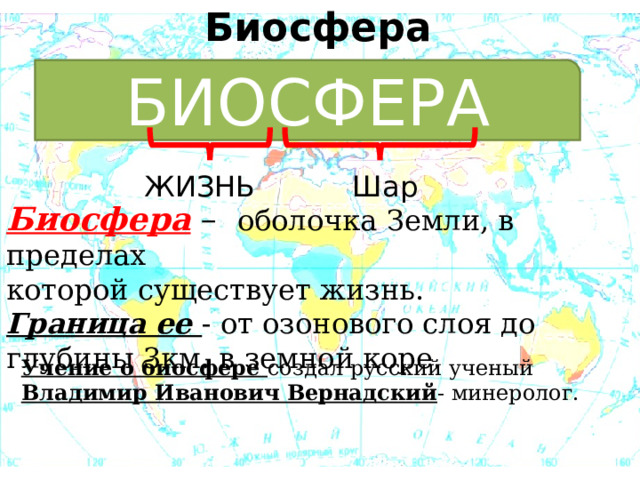 Биосфера БИОСФЕРА ЖИЗНЬ Шар Биосфера – оболочка Земли, в пределах которой существует жизнь. Граница ее - от озонового слоя до глубины 3км. в земной коре. Учение о биосфере создал русский ученый Владимир Иванович Вернадский - минеролог. 