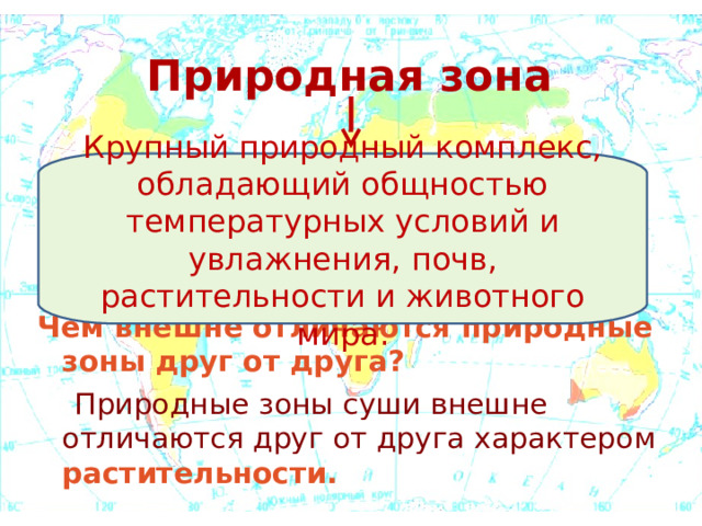 Природная зона    Чем внешне отличаются природные зоны друг от друга?  Природные зоны суши внешне отличаются друг от друга характером растительности. Крупный природный комплекс, обладающий общностью температурных условий и увлажнения, почв, растительности и животного мира.  