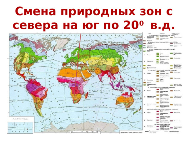 Смена природных зон с севера на юг по 20 0 в.д. 