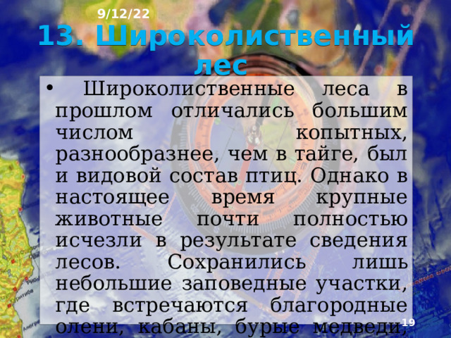 9/12/22 12. Рысь ►  