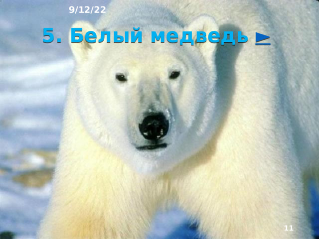 9/12/22 4. Арктическая пустыня В арктических пустынях у берегов Северного Ле­довитого океана распространены животные, жизнь которых связа­на с морем: белые медведи, мор­жи, тюлени, множество пита­ющихся рыбой птиц.  