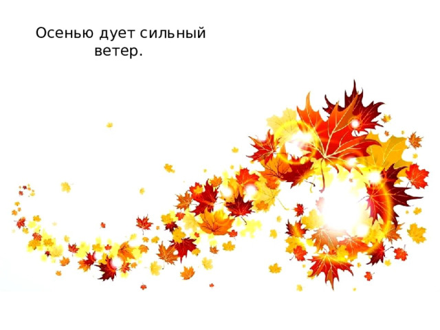 Осенью дует сильный ветер. 
