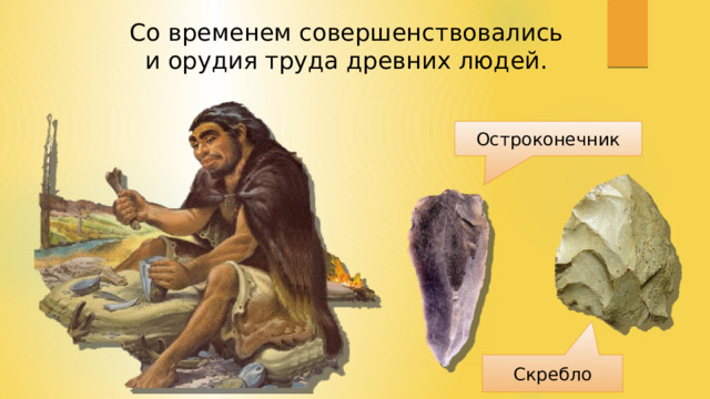Со временем совершенствовались и орудия труда древних людей. Остроконечник Скребло 