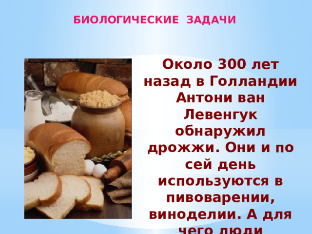 БИОЛОГИЧЕСКИЕ ЗАДАЧИ Около 300 лет назад в Голландии Антони ван Левенгук обнаружил дрожжи. Они и по сей день используются в пивоварении, виноделии. А для чего люди используют дрожжи при выпечке хлеба? 