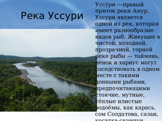 Уссу́ри —правый приток реки Амур. Уссури является одной из рек, которая имеет разнообразие видов рыб. Живущие в чистой, холодной, прозрачной, горной реке рыбы — таймень, ленок и хариус могут соседствовать в одном месте с такими донными рыбами, предпочитающими стоячие, мутные, тёплые илистые водоёмы, как карась, сом Солдатова, сазан, косатка-скрипун, косатка-плеть, толстолоб и ауха. Река Уссури  