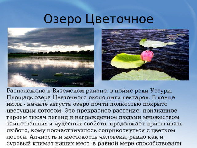Озеро Цветочное Расположено в Вяземском районе, в пойме реки Уссури. Площадь озера Цветочного около пяти гектаров. В конце июля - начале августа озеро почти полностью покрыто цветущим лотосом. Это прекрасное растение, признанное героем тысяч легенд и награжденное людьми множеством таинственных и чудесных свойств, продолжает притягивать любого, кому посчастливилось соприкоснуться с цветком лотоса. Алчность и жестокость человека, равно как и суровый климат наших мест, в равной мере способствовали тому, что Лотос Комарова признан исчезающим и занесен в Красную Книгу.  